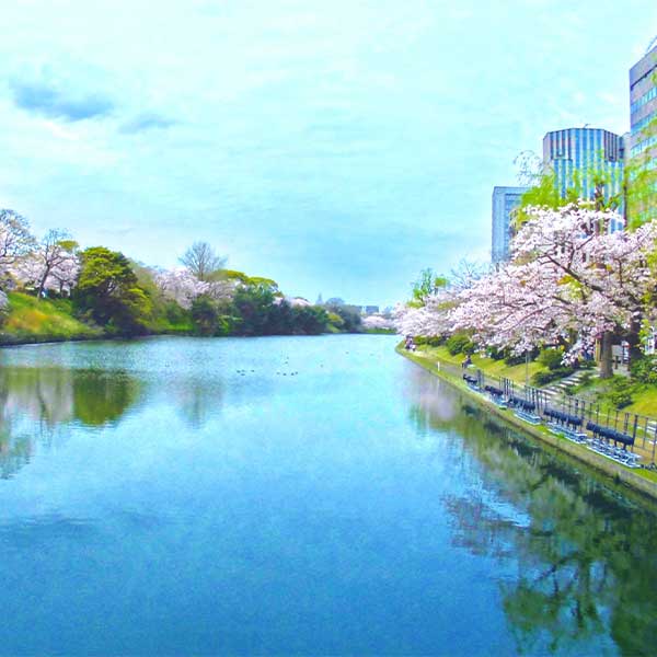 舞鶴・福知山・宮津のイメージ